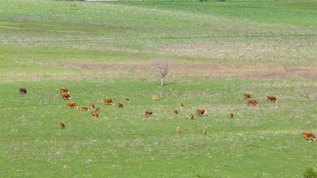 TBD Armstrong RD, Salado, TX 76571