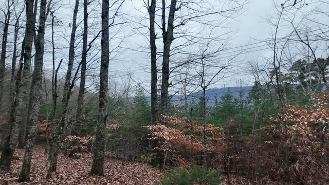 7943 Harper Road, Hixson, TN 37343
