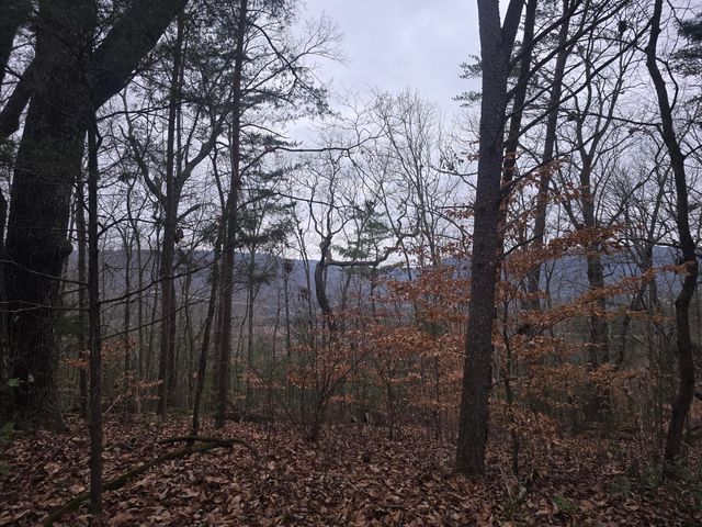 7943 Harper Road, Hixson, TN 37343