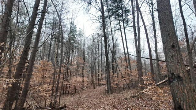 7943 Harper Road, Hixson, TN 37343