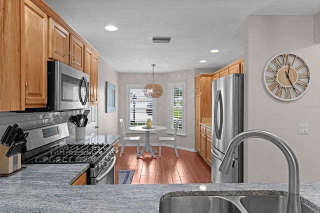 1668 PLUM BRANCH TERRACE, The Villages, FL 32162