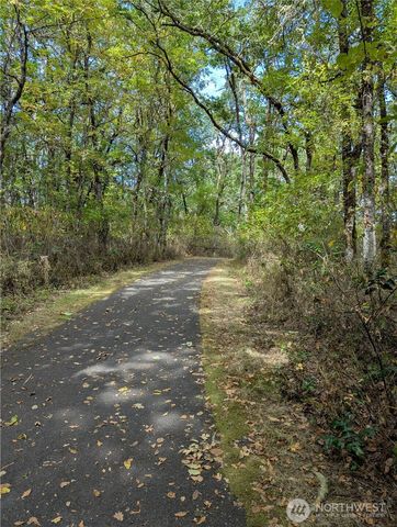 2420 Simmons Street #B, Dupont, WA 98327