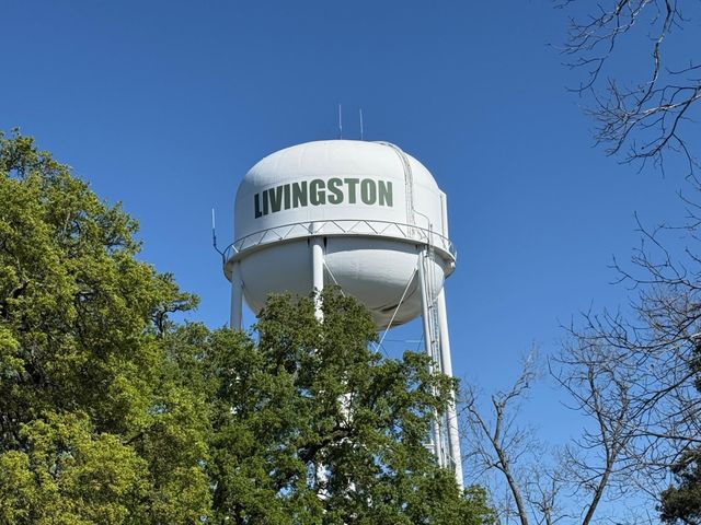 432 Young Street, Livingston, TX 77351