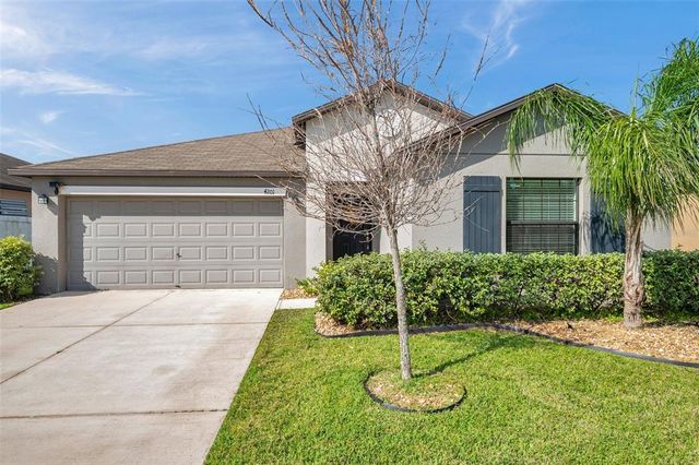 4201 GLOBE THISTLE DRIVE, Tampa, FL 33619