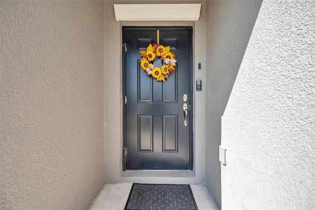 4201 GLOBE THISTLE DRIVE, Tampa, FL 33619