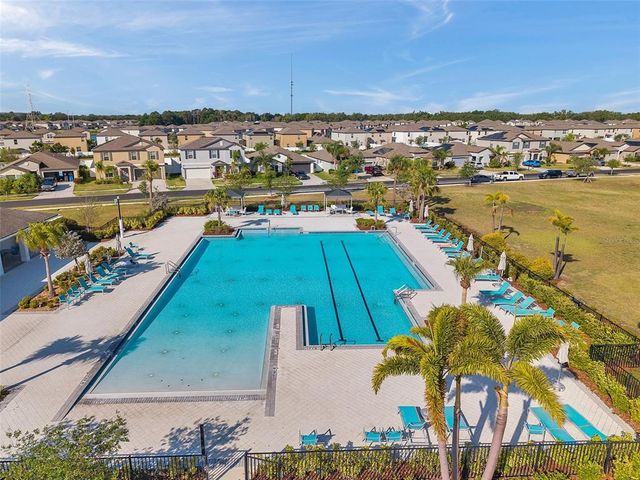 4201 GLOBE THISTLE DRIVE, Tampa, FL 33619
