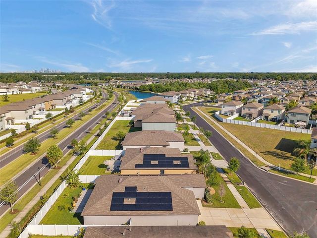 4201 GLOBE THISTLE DRIVE, Tampa, FL 33619