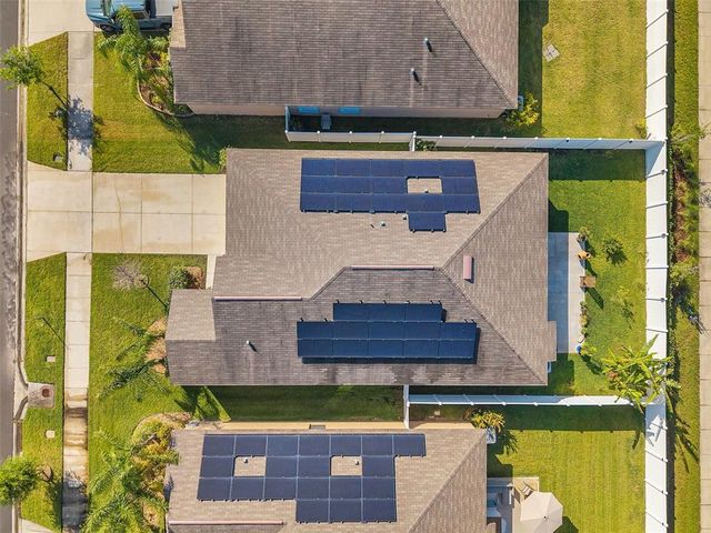 4201 GLOBE THISTLE DRIVE, Tampa, FL 33619