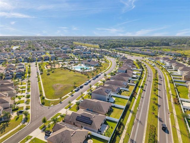 4201 GLOBE THISTLE DRIVE, Tampa, FL 33619