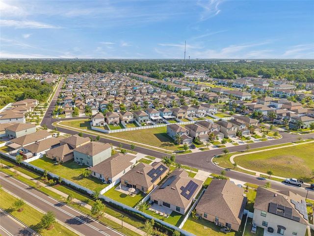 4201 GLOBE THISTLE DRIVE, Tampa, FL 33619