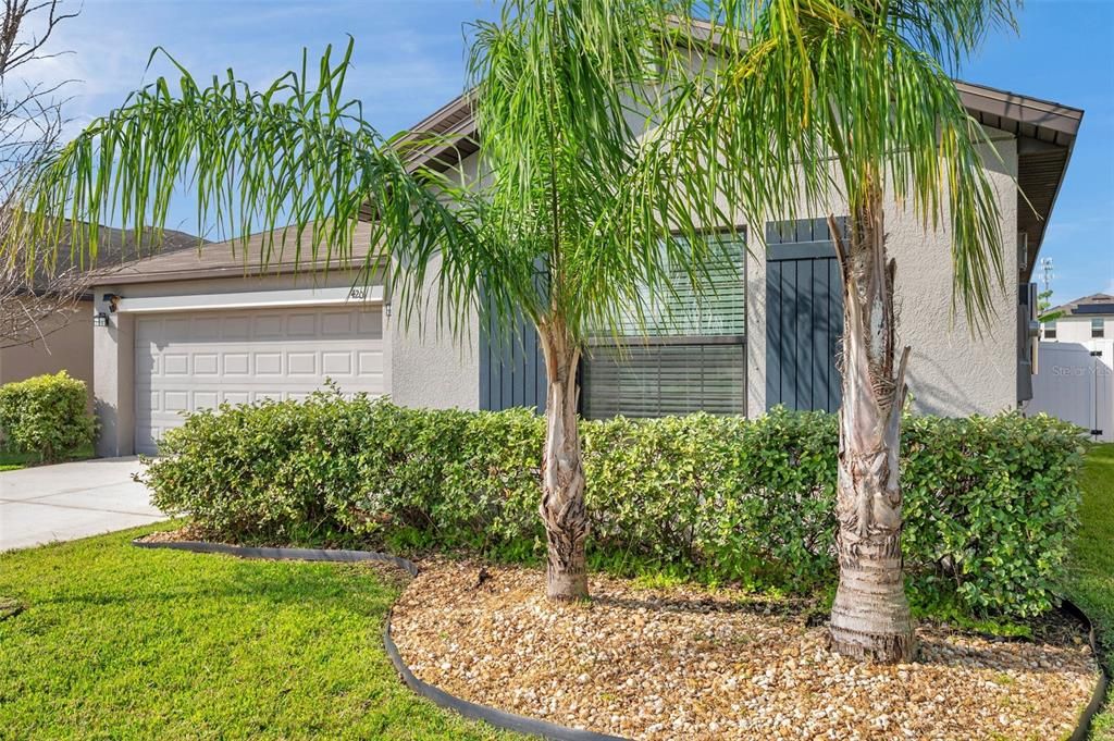 4201 GLOBE THISTLE DRIVE, Tampa, FL 33619