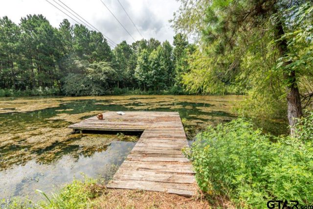 18059 County Road 2142, Troup, TX 75789