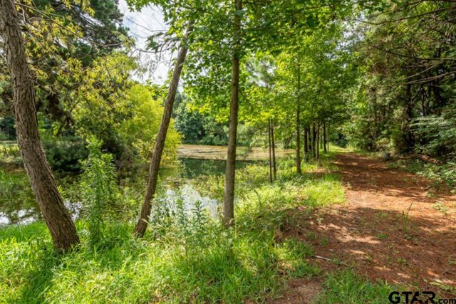 18059 County Road 2142, Troup, TX 75789