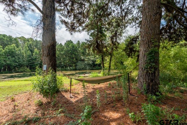 18059 County Road 2142, Troup, TX 75789