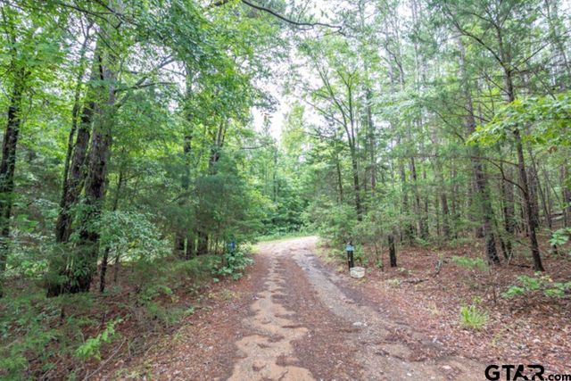 18059 County Road 2142, Troup, TX 75789