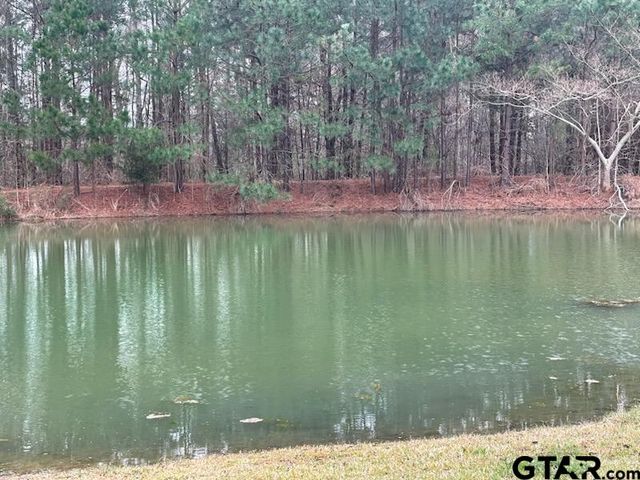 18059 County Road 2142, Troup, TX 75789