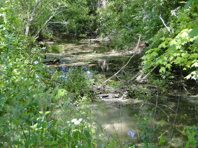 4 Cothran Rd, Columbia, TN 38401