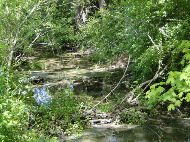 4 Cothran Rd, Columbia, TN 38401