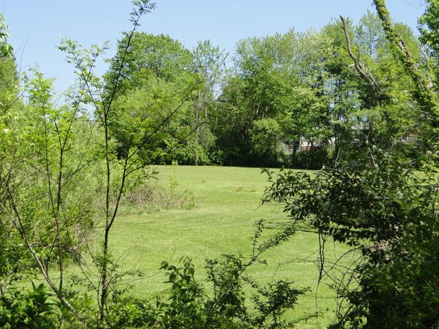 4 Cothran Rd, Columbia, TN 38401