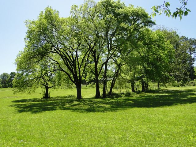 4 Cothran Rd, Columbia, TN 38401