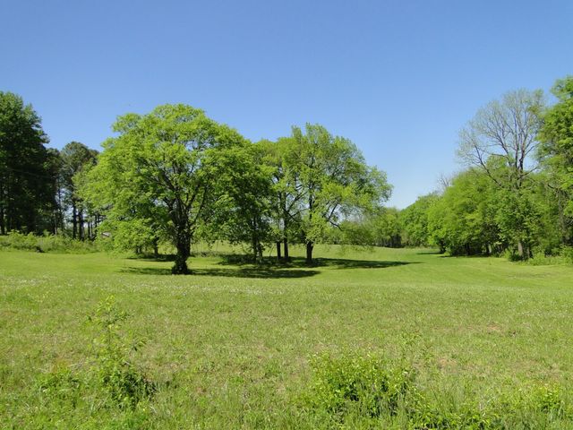 4 Cothran Rd, Columbia, TN 38401