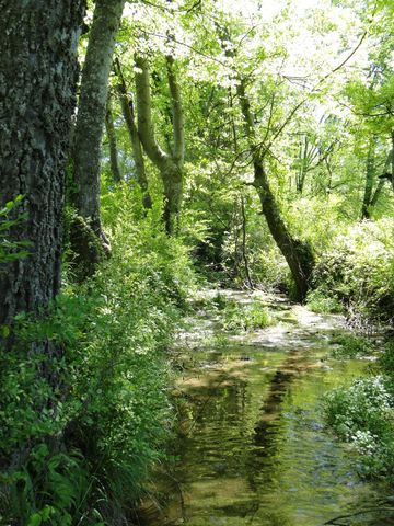 4 Cothran Rd, Columbia, TN 38401