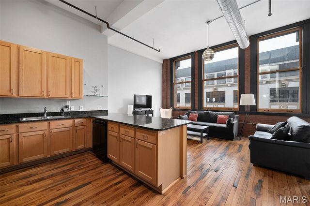 1520 Washington Avenue 607, St Louis, MO 63103