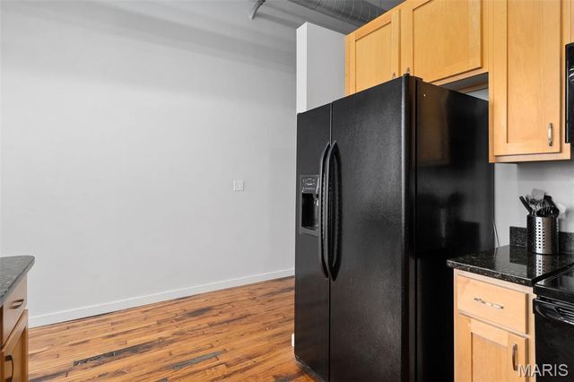 1520 Washington Avenue 607, St Louis, MO 63103