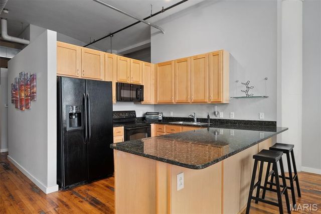 1520 Washington Avenue 607, St Louis, MO 63103