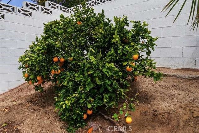 2919 E Landen, Camarillo, CA 93010