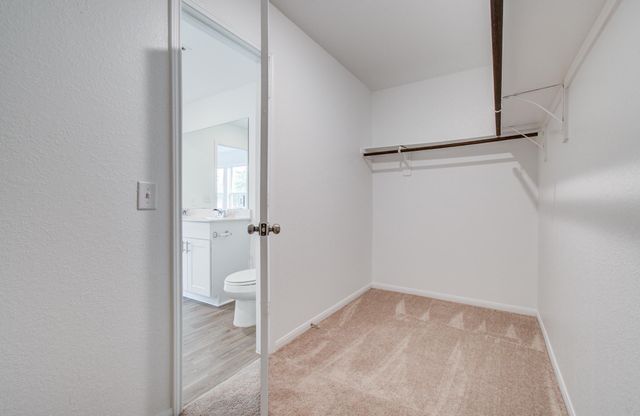 5522 Broad Spruce Street, Spring, TX 77373
