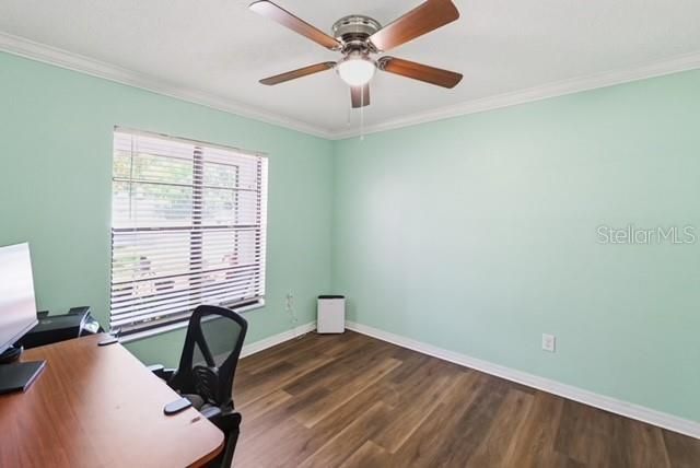 24016 STARLING CIRCLE, Land O Lakes, FL 34639