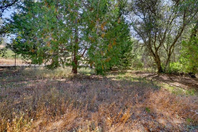 9932 Frenchtown-Dobbins Rd, Oregon House, CA 95962