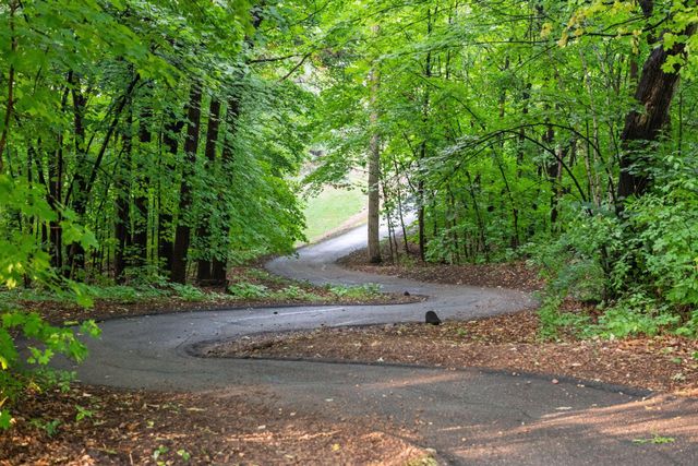 25 Riley Ridge, Chanhassen, MN 55317