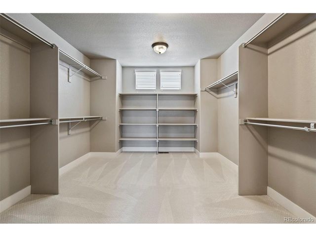 5411 Long Dr, Timnath, CO 80547