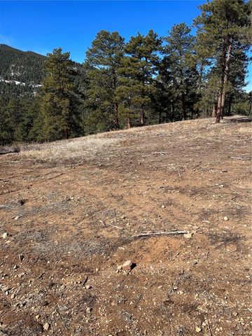 Lot 1 Iowa Gulch Road, Morrison, CO 80465