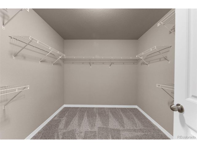 7568 Cat Tail Creek Dr, Colorado Springs, CO 80923