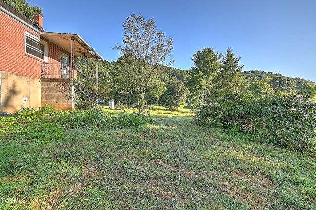 148 Easter Lilly Lane, Gate City, VA 24251