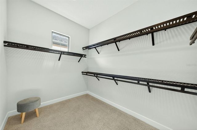 8317 VIA VITTORIA WAY, Orlando, FL 32819