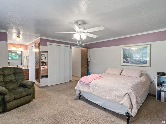 688 W 3750 N, Pleasant View, UT 84414