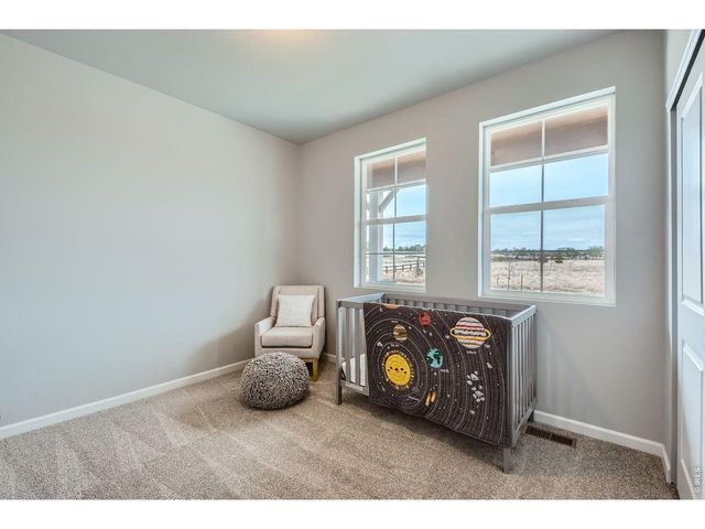 7332 Swan River St, Frederick, CO 80530