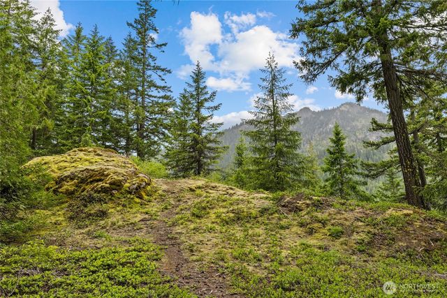 861 Via Kachess Rd, Easton, WA 98925