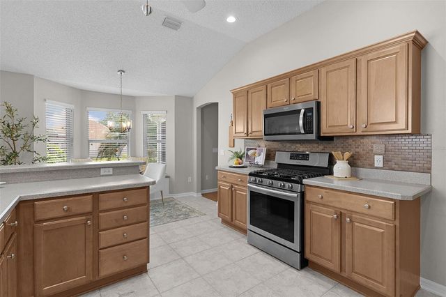 1577 BLYTHEWOOD LOOP, The Villages, FL 32162