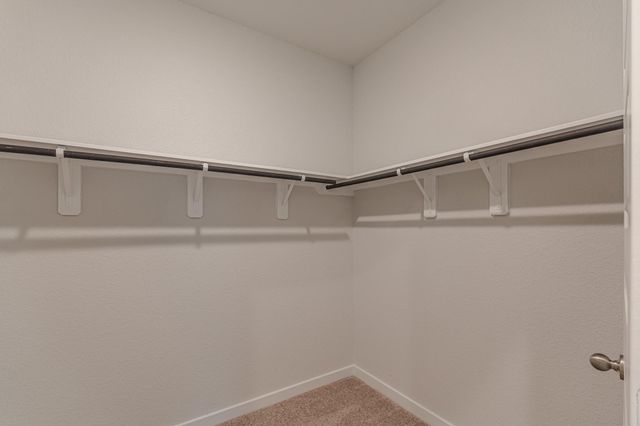 8570 Blueberry Ash Street, Magnolia, TX 77354