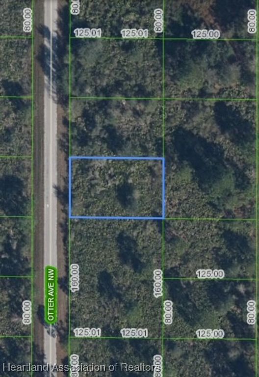 228 NW OTTER Street, Lake Placid, FL 33852