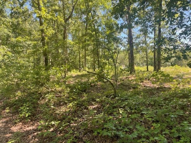 5597 Harmon Creek Rd, Eva, TN 38333