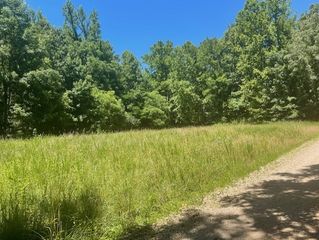 5597 Harmon Creek Rd, Eva, TN 38333