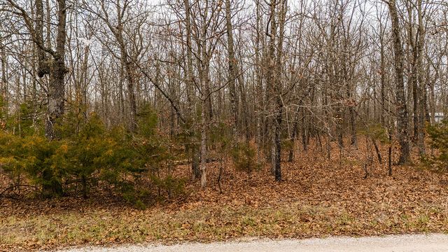 Lot 13 Sugar Tree Drive, Fordland, MO 65652