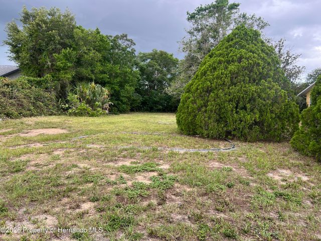 0 Cavern Road, Spring Hill, FL 34609