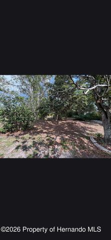 0 Cavern Road, Spring Hill, FL 34609